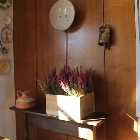 Magnifica , Cerca De La Playa - Quintueles Holiday home