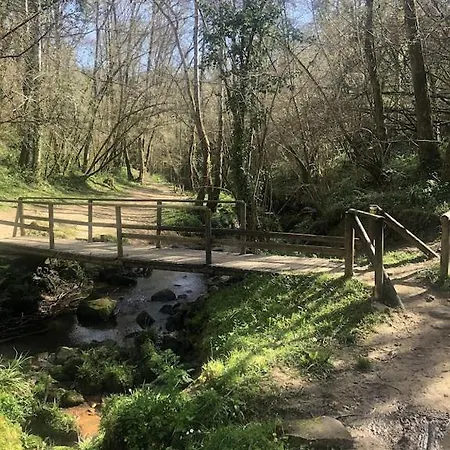 Magnifica , Cerca De La Playa - Quintueles * Cazamular